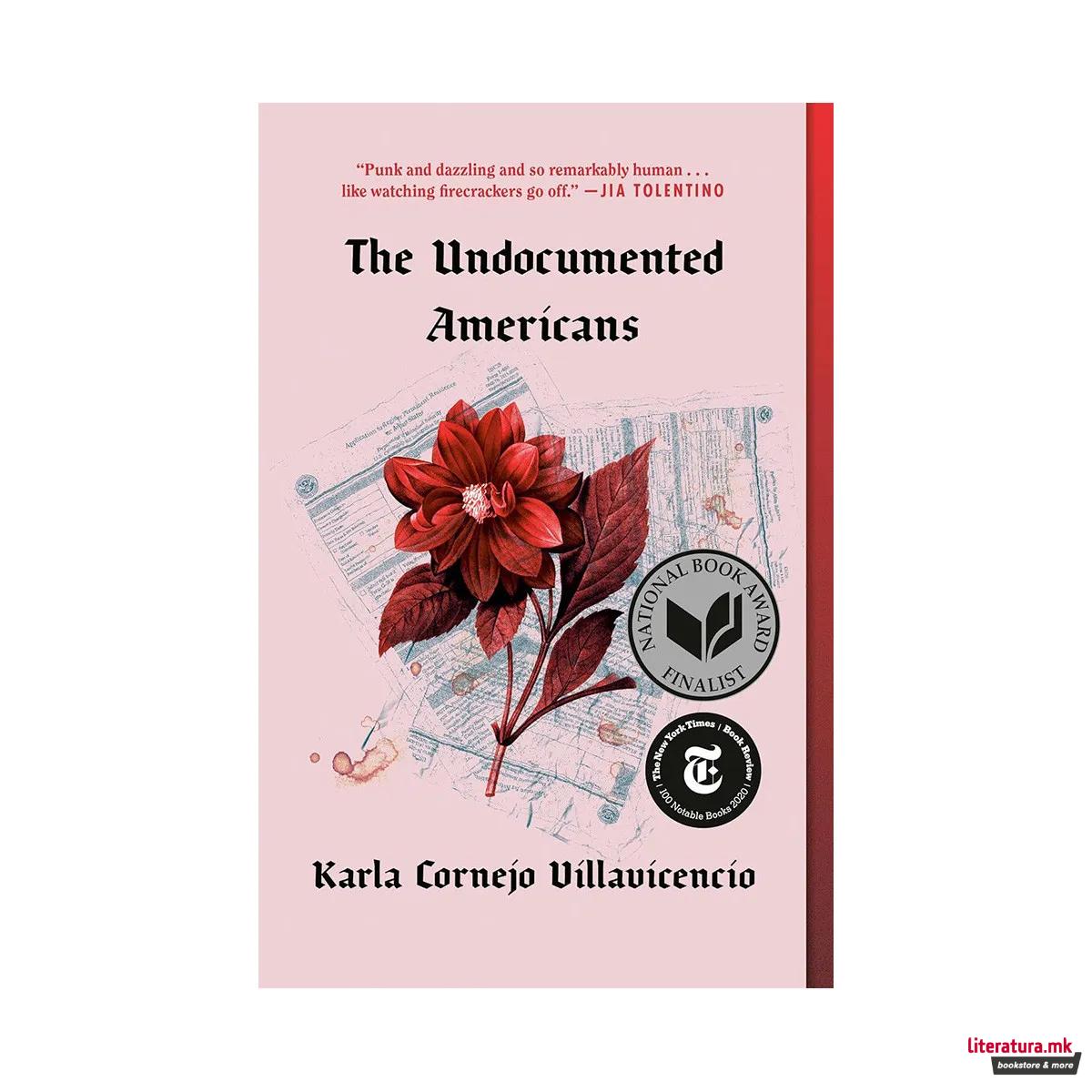 The Undocumented Americans