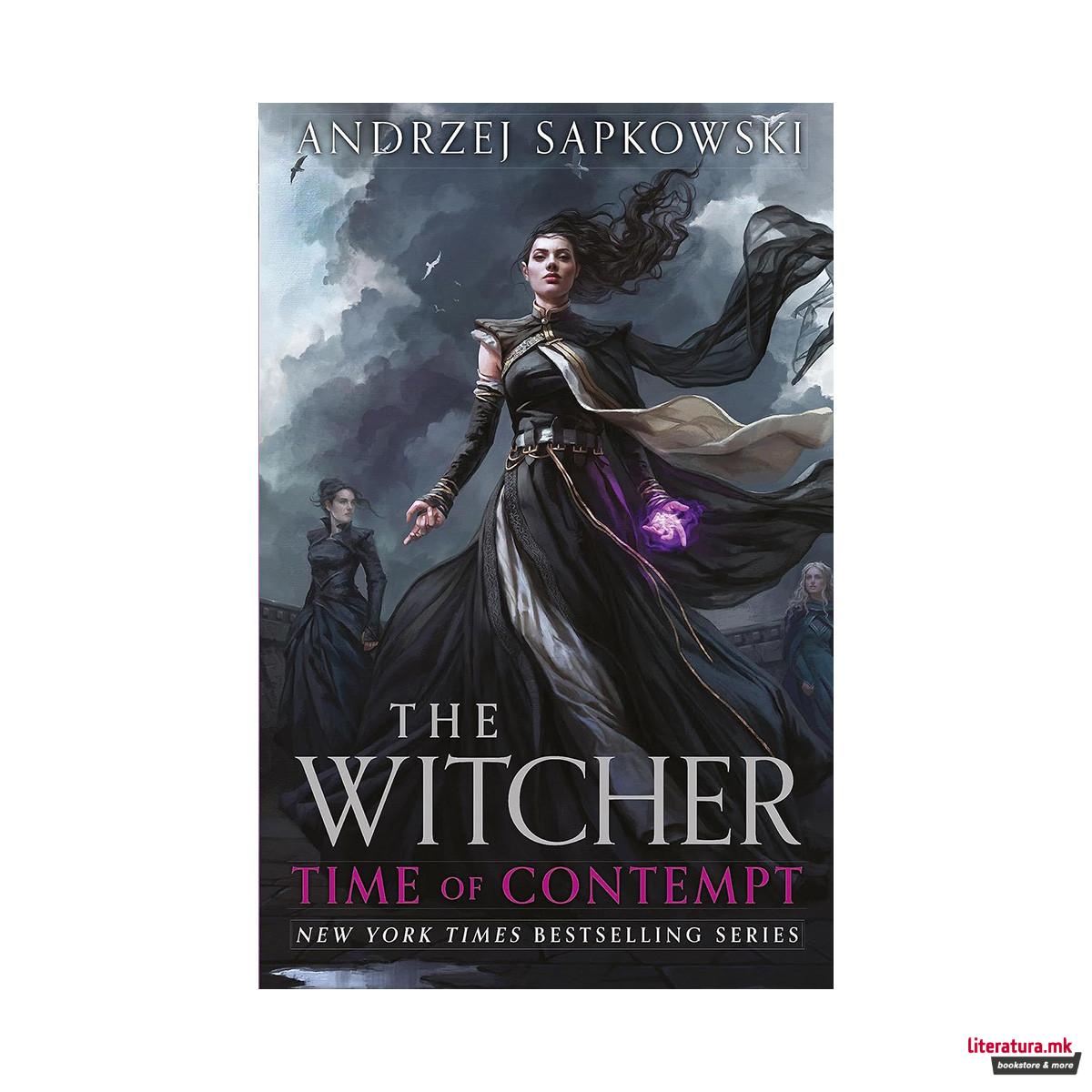 Time of Contempt: The Witcher, Book 2