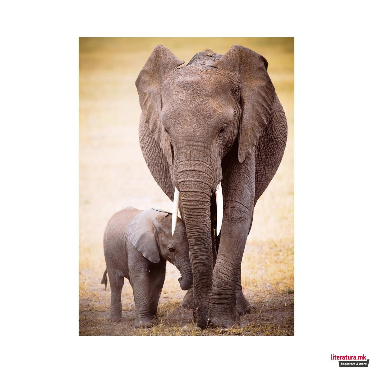 Сложувалка, Elephant & Baby, 1000 парчиња
