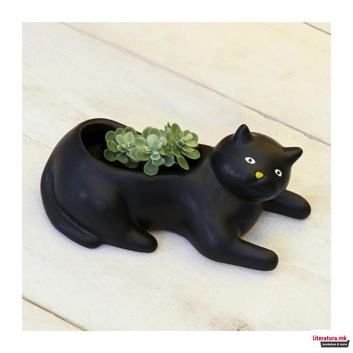 Саксија за цвеќе - Cosmo The Black Cat