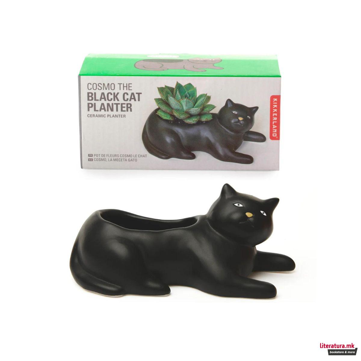 Саксија за цвеќе - Cosmo The Black Cat