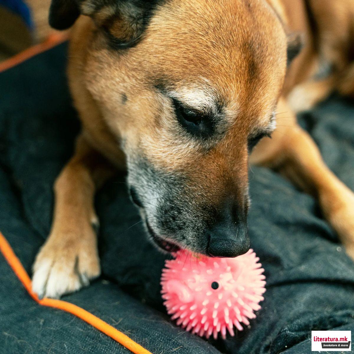 Миризливо топче за куче, Kobe Piggy Dog Ball