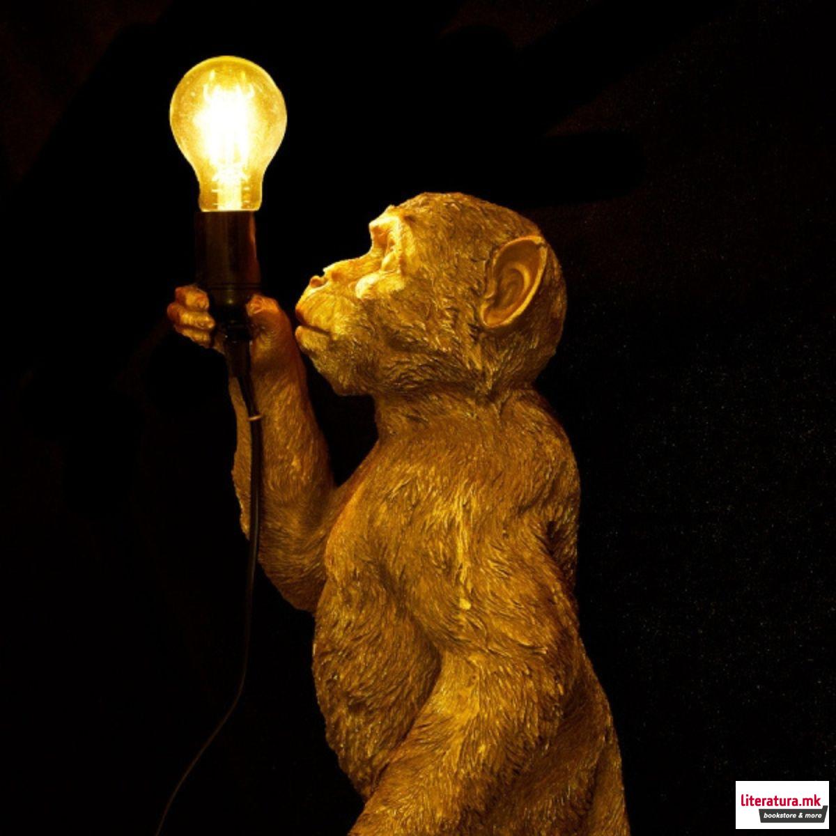 Ламба, Jungle Love: Koko 