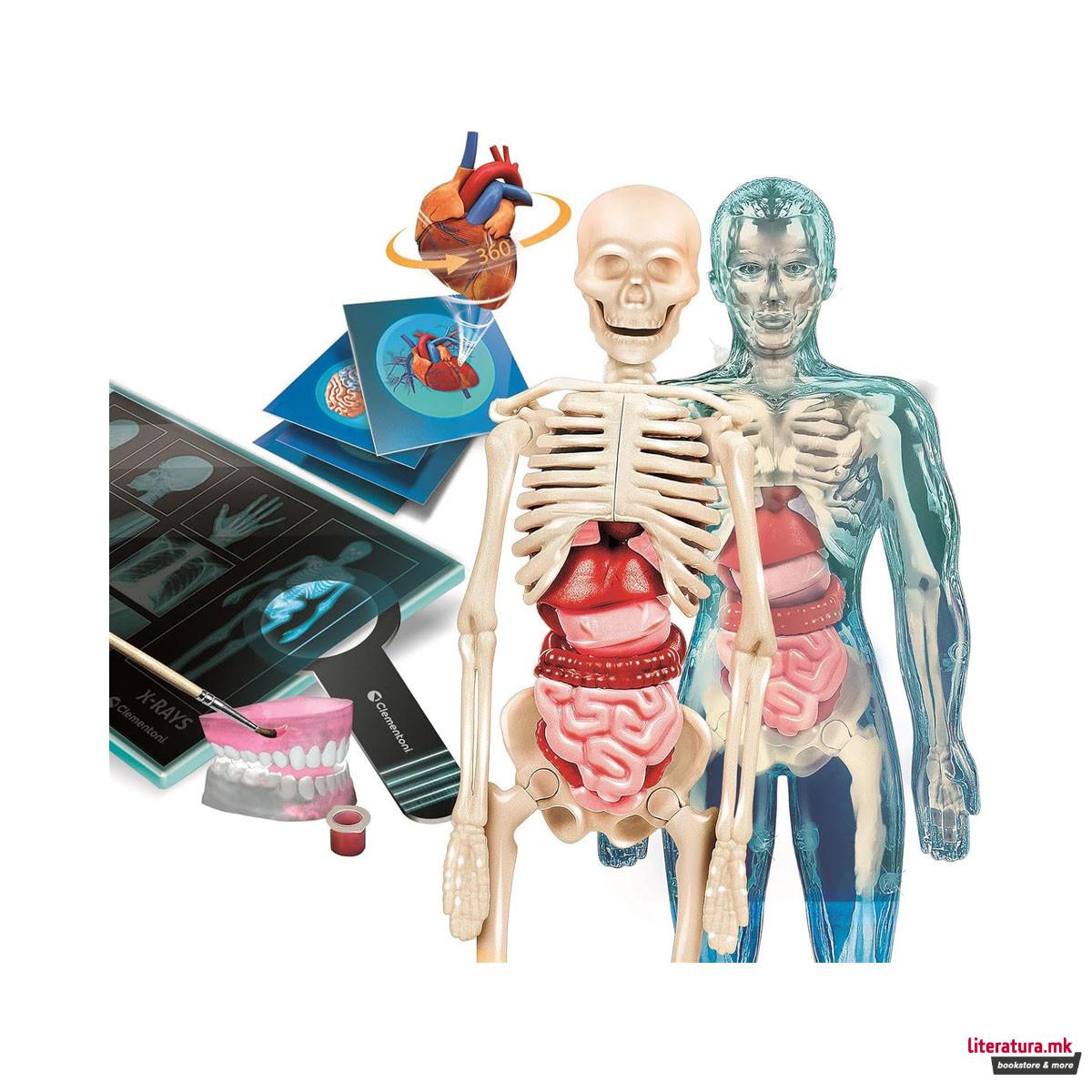 СТЕМ сет, Science & Play Lab, Super Anatomy 