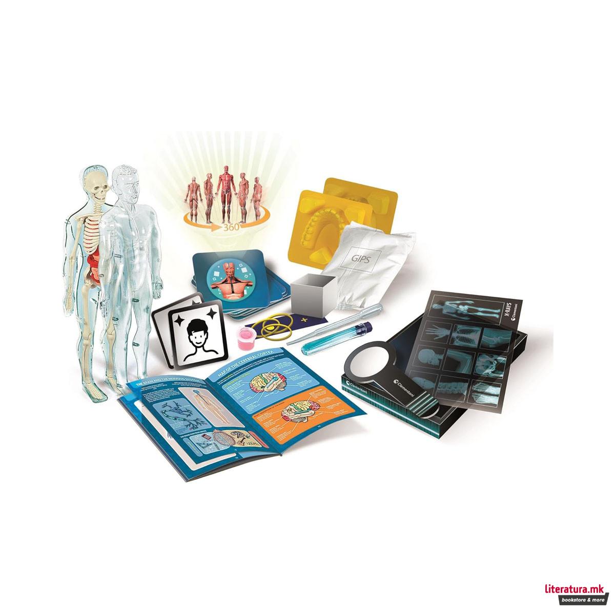 СТЕМ сет, Science & Play Lab, Super Anatomy 