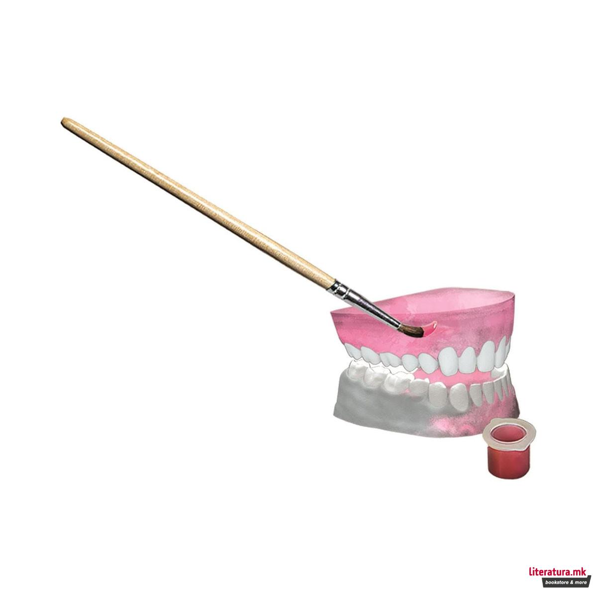 СТЕМ сет, Science & Play Lab, Super Anatomy 