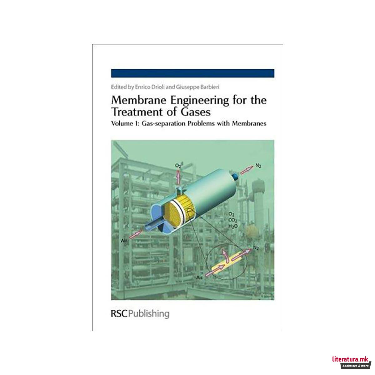 Membrane Engineering for the Treatment of Gases : Volume 1: Gas-separation Probl 