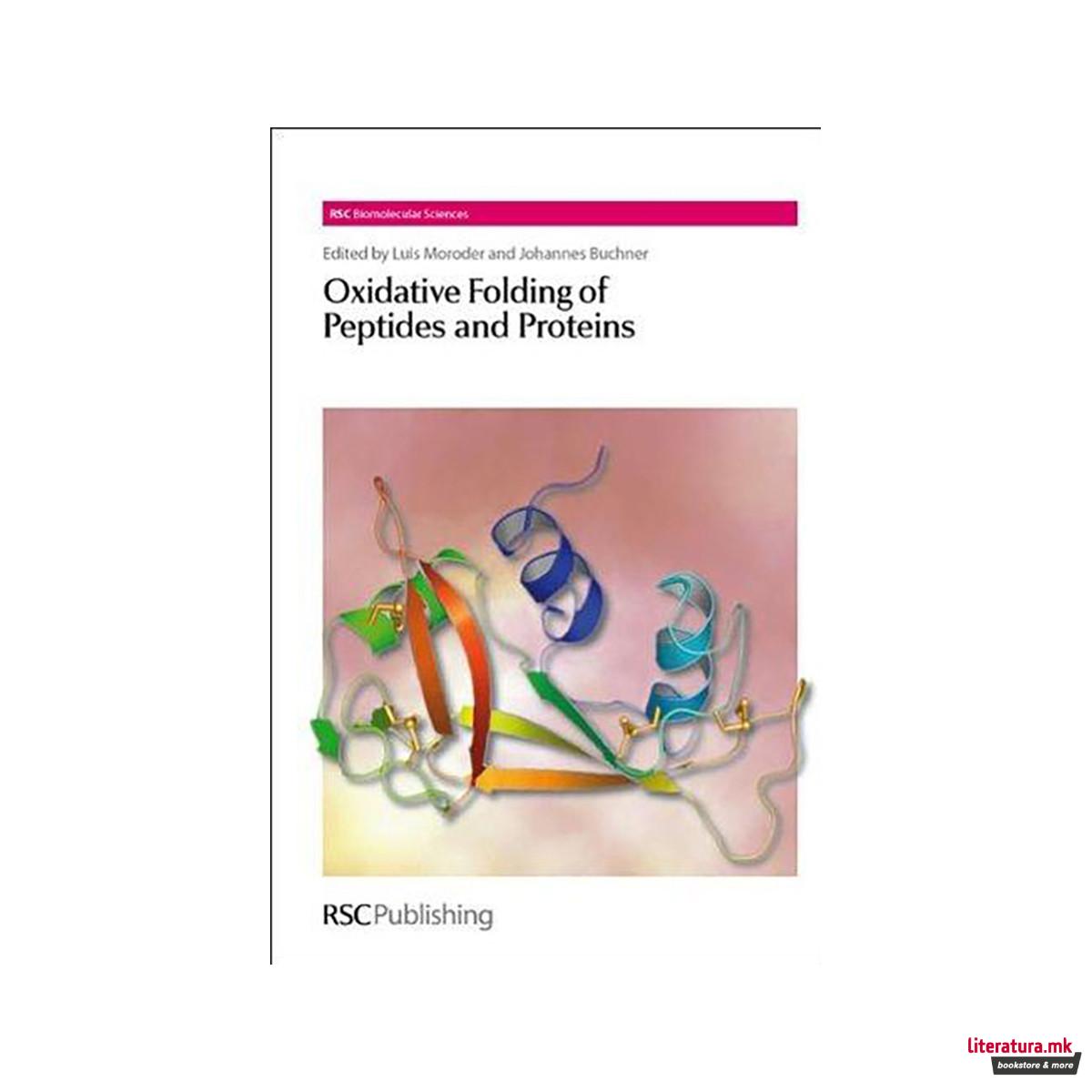 Oxidative Folding of Peptides and Proteins 