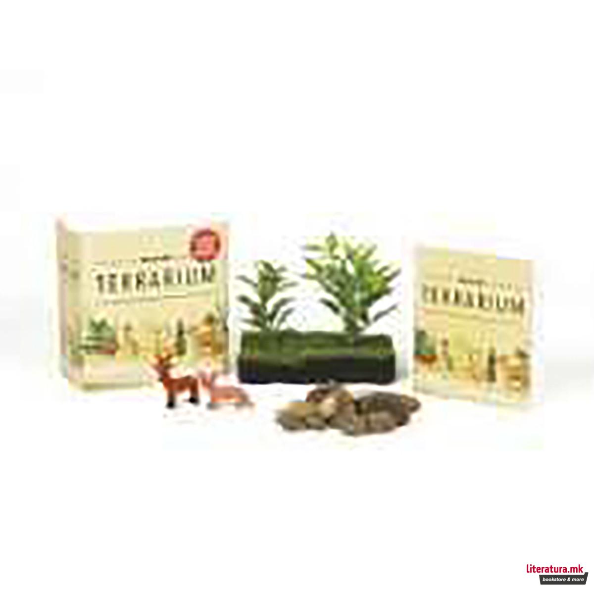 Desktop Terrarium : No Green Thumb Required! 