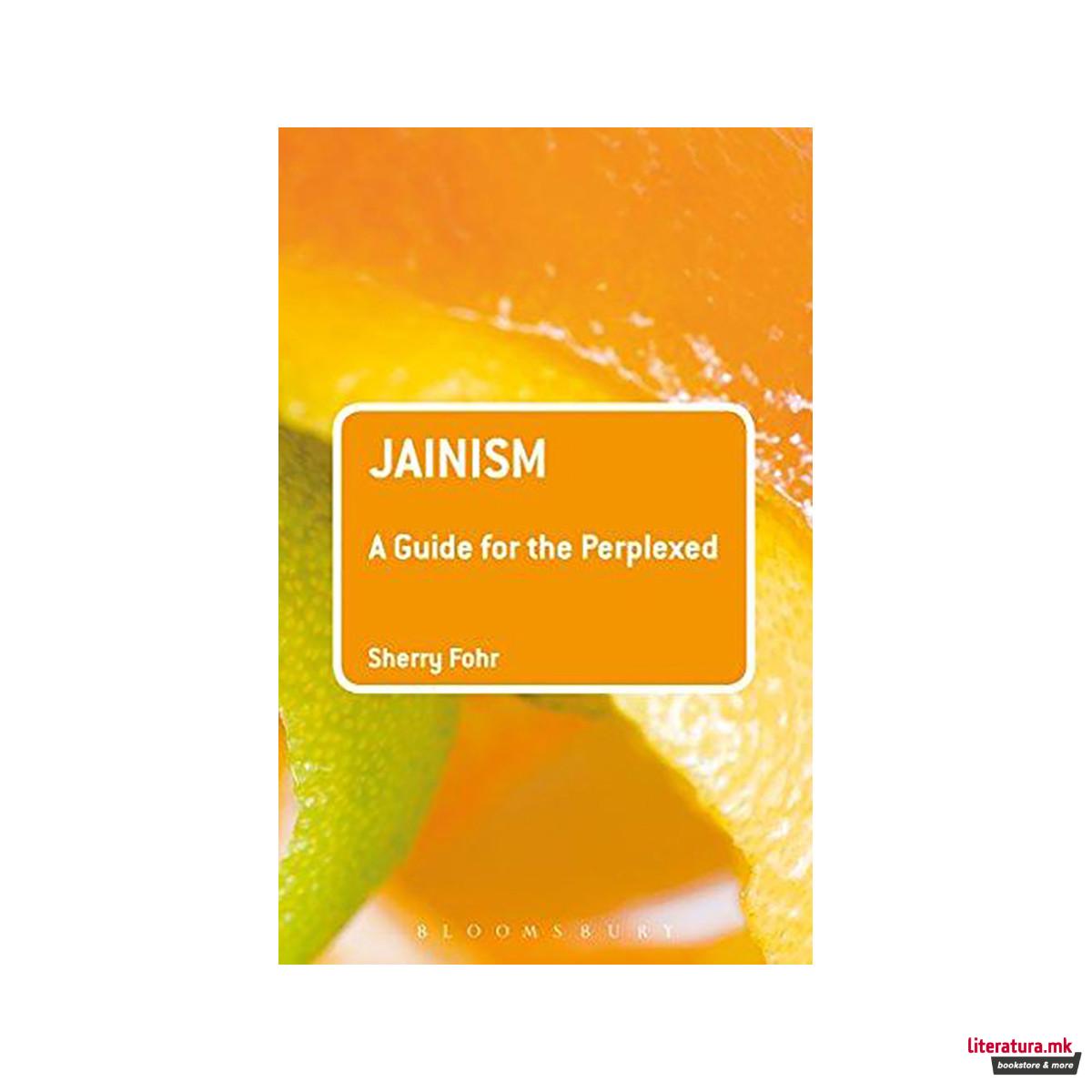 Jainism: A Guide for the Perplexed 