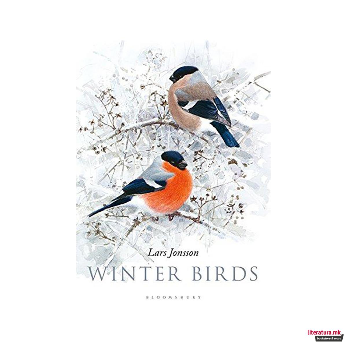 Winter Birds 