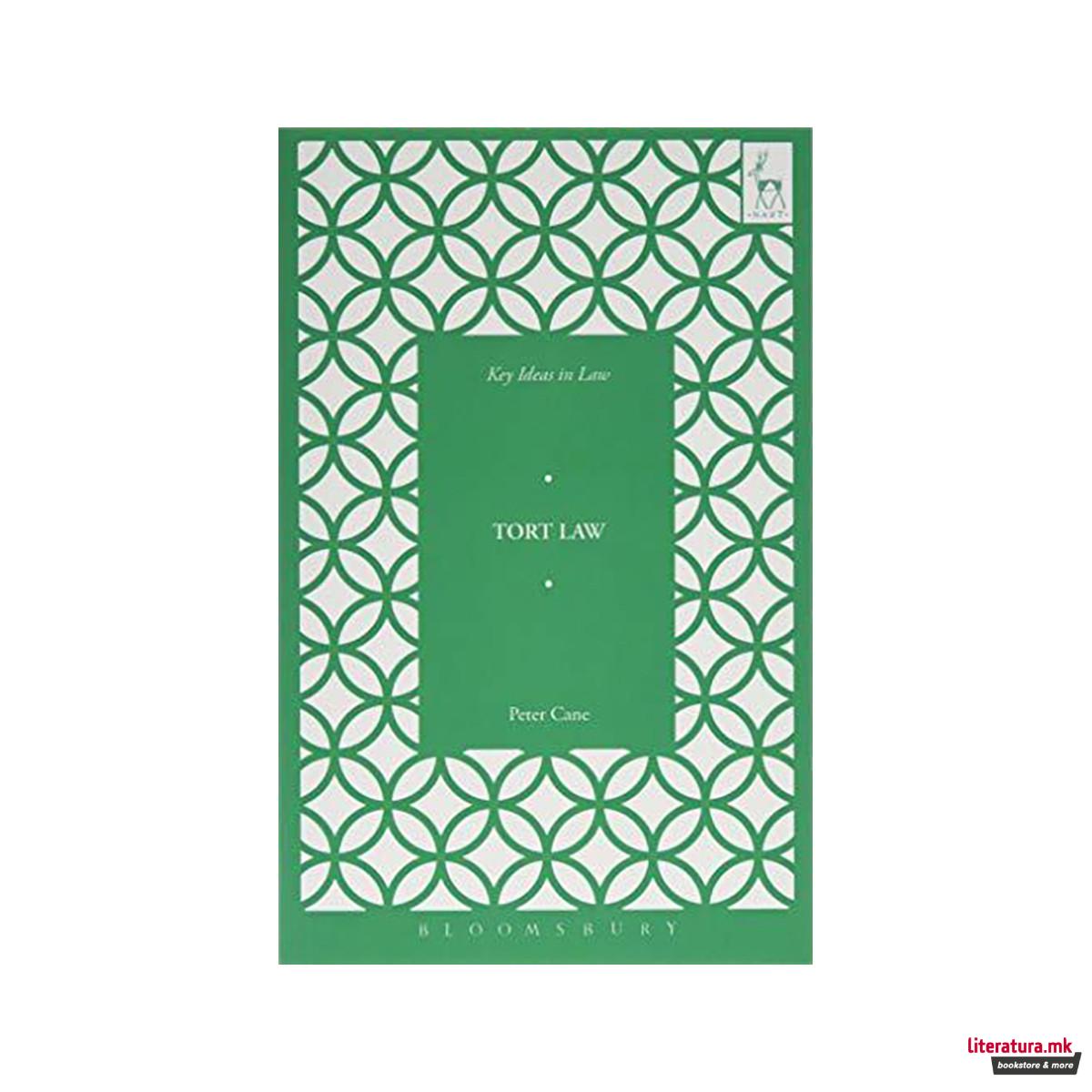 Key Ideas in Tort Law 