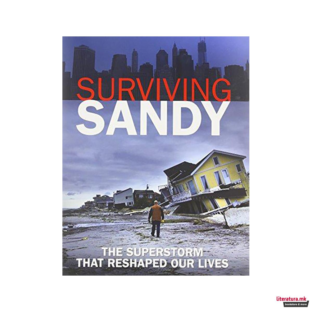 Surviving Sandy : The Superstorm That Reshaped Our Lives 