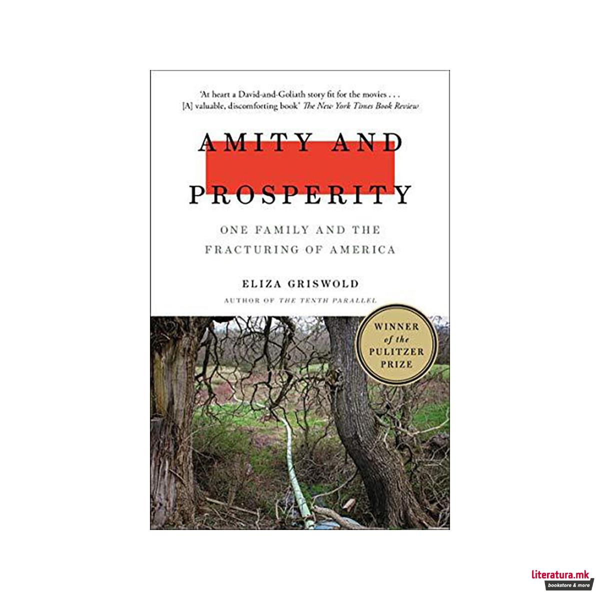 Amity and Prosperity : One Family and the Fracturing of America - Winner of the 