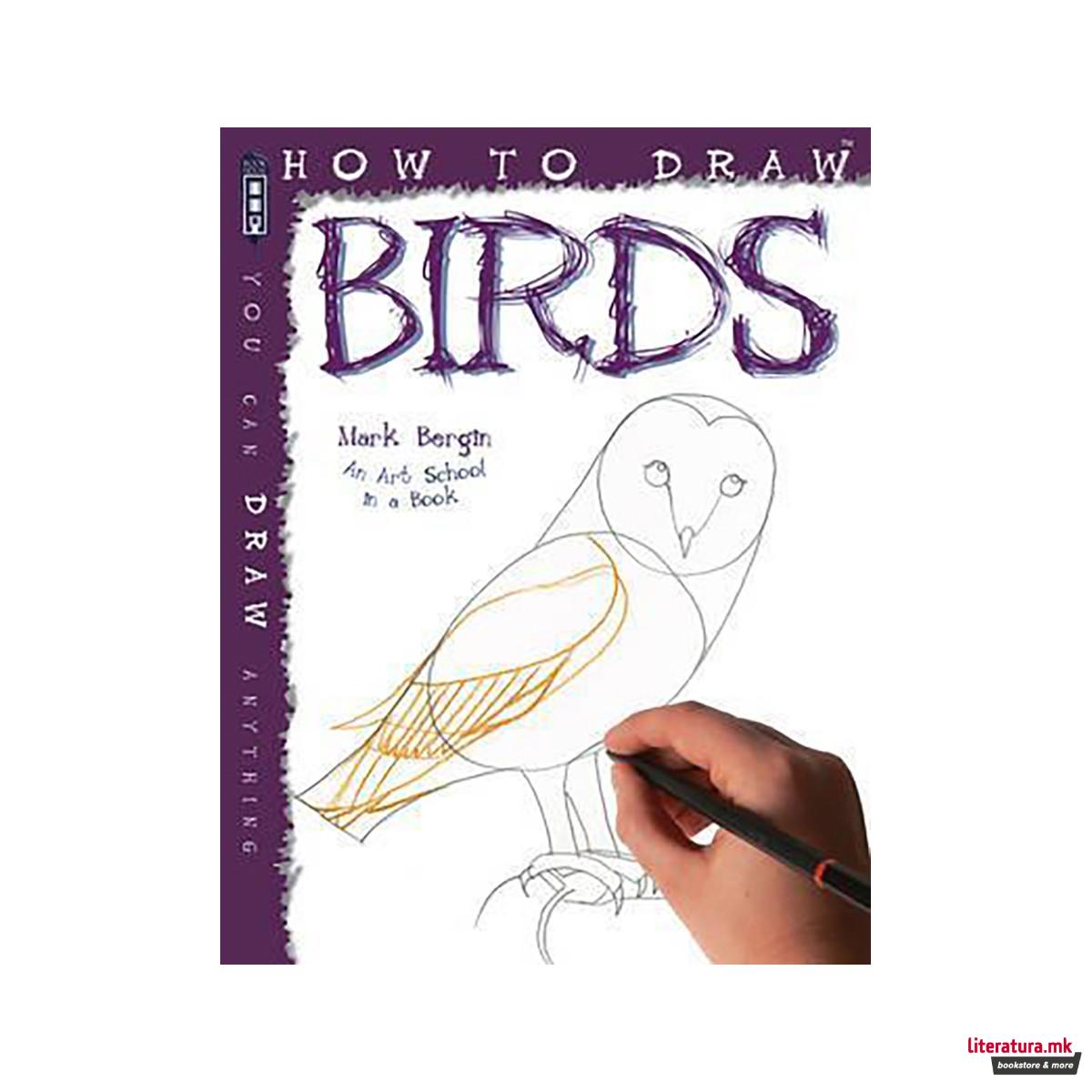 How To Draw Birds 