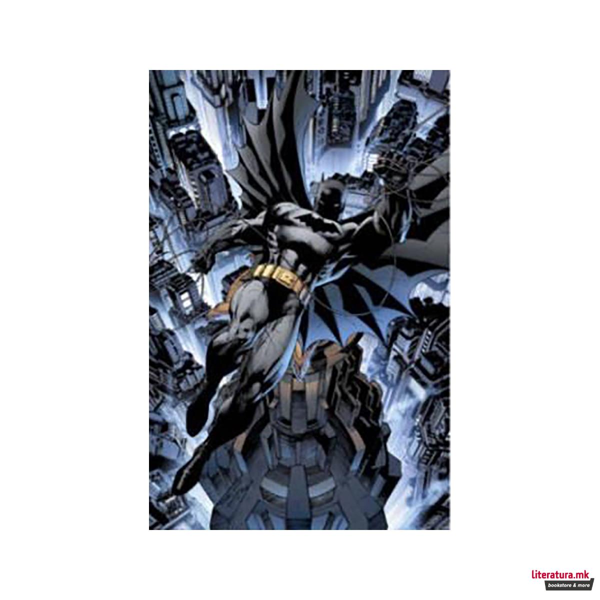 Absolute All-Star Batman And Robin, The Boy Wonder 