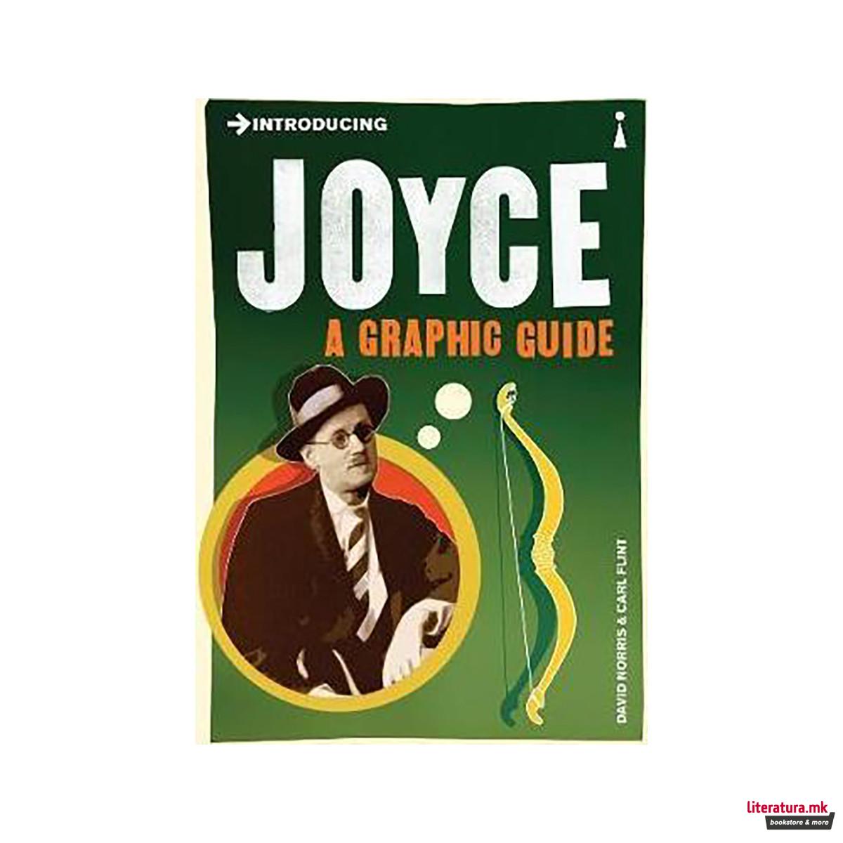 Introducing Joyce : A Graphic Guide 