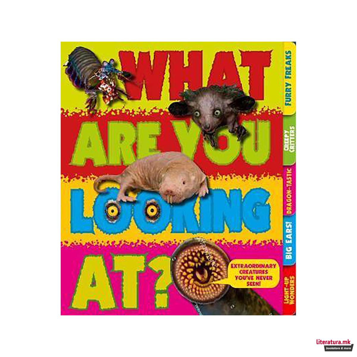 What Are You Looking At? : Extraordinary creatures you've never seen! 