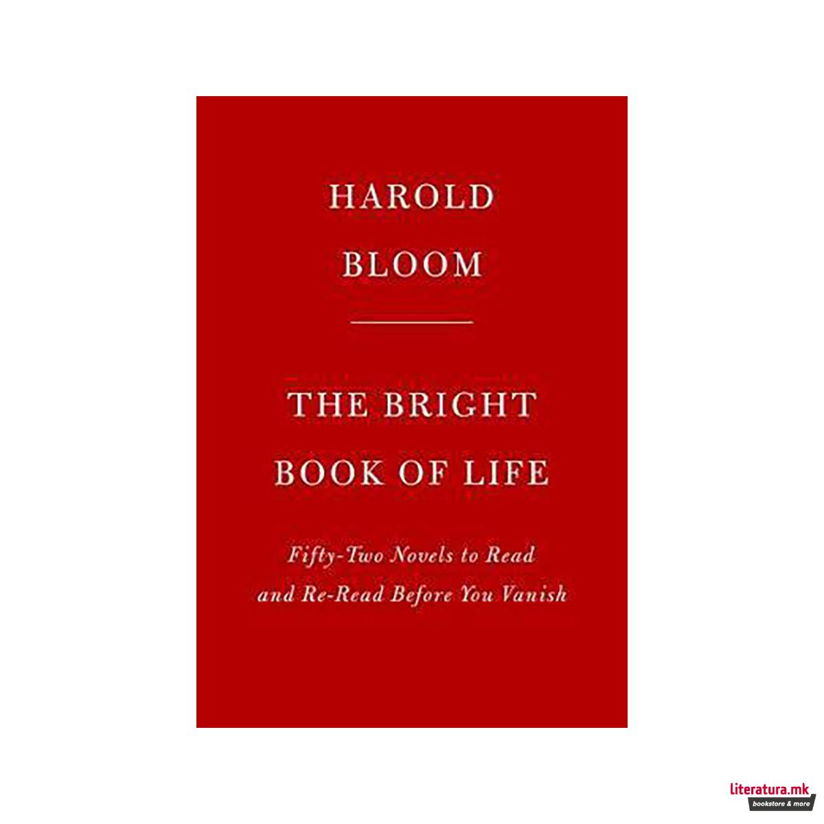 The Bright Book of Life : Novels to Read and Reread 