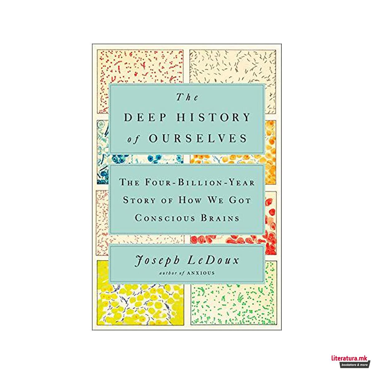 The Deep History Of Ourselves : The Four-Billion-Year Story of How We Got Consci 