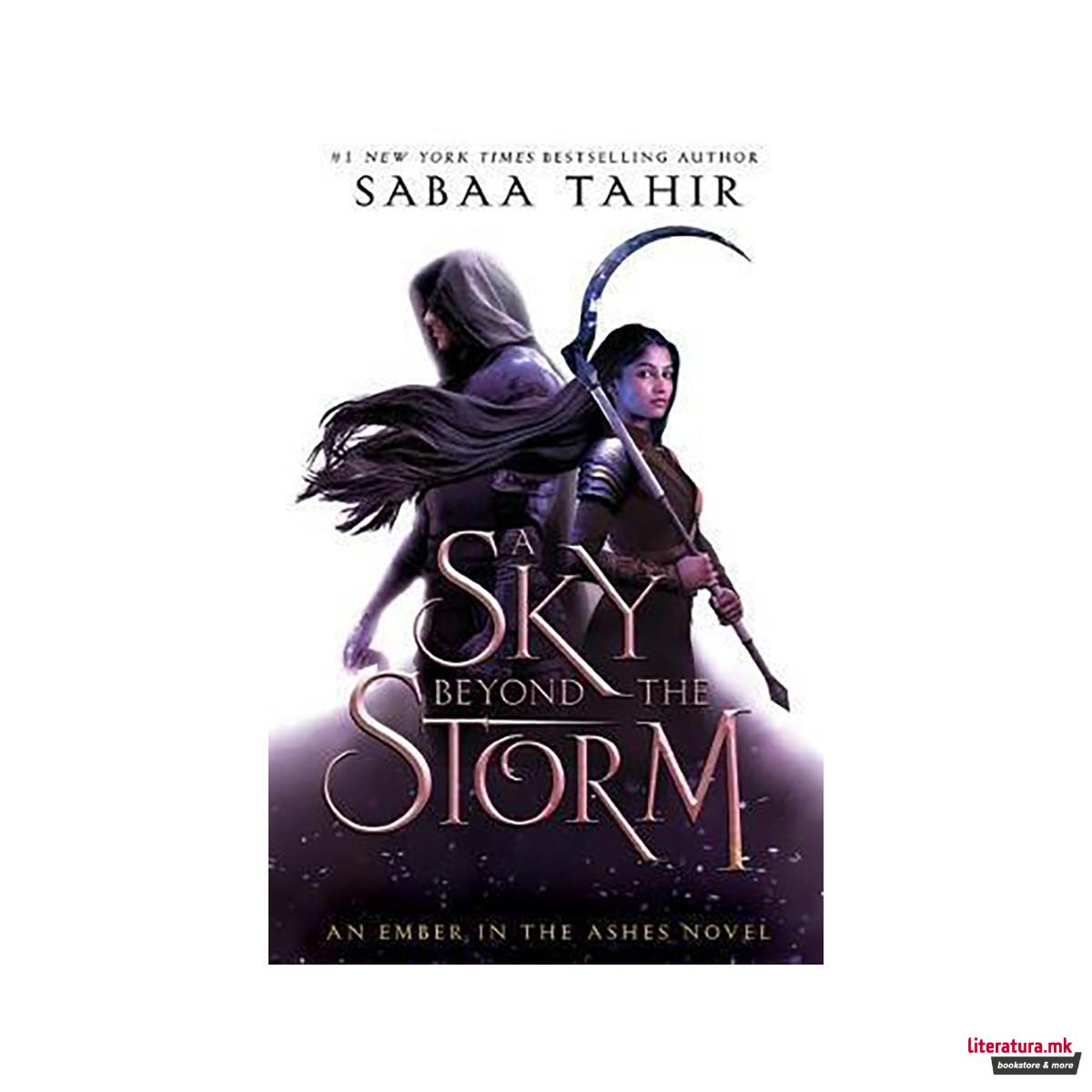 A Sky Beyond the Storm 