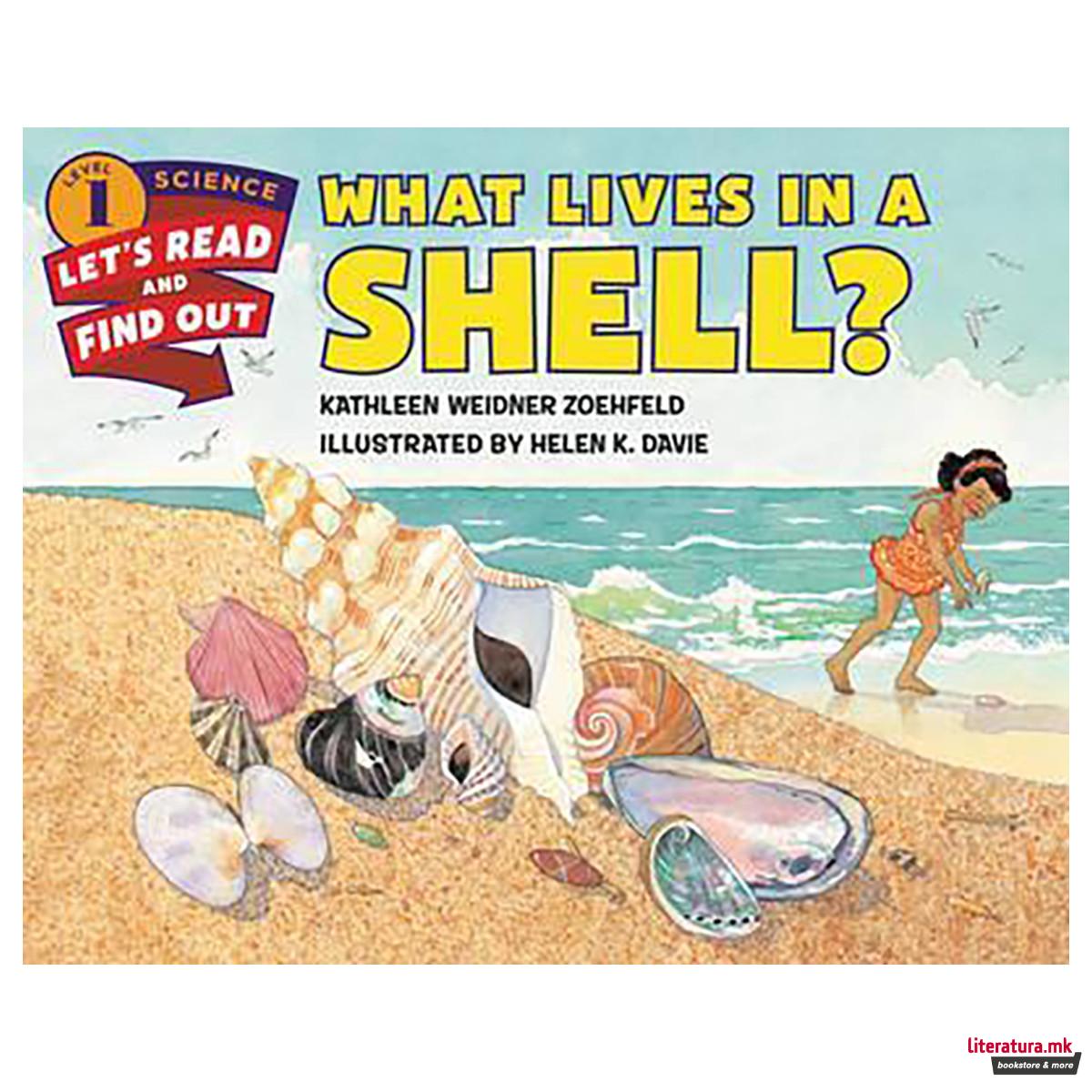 What Lives In A Shell? 