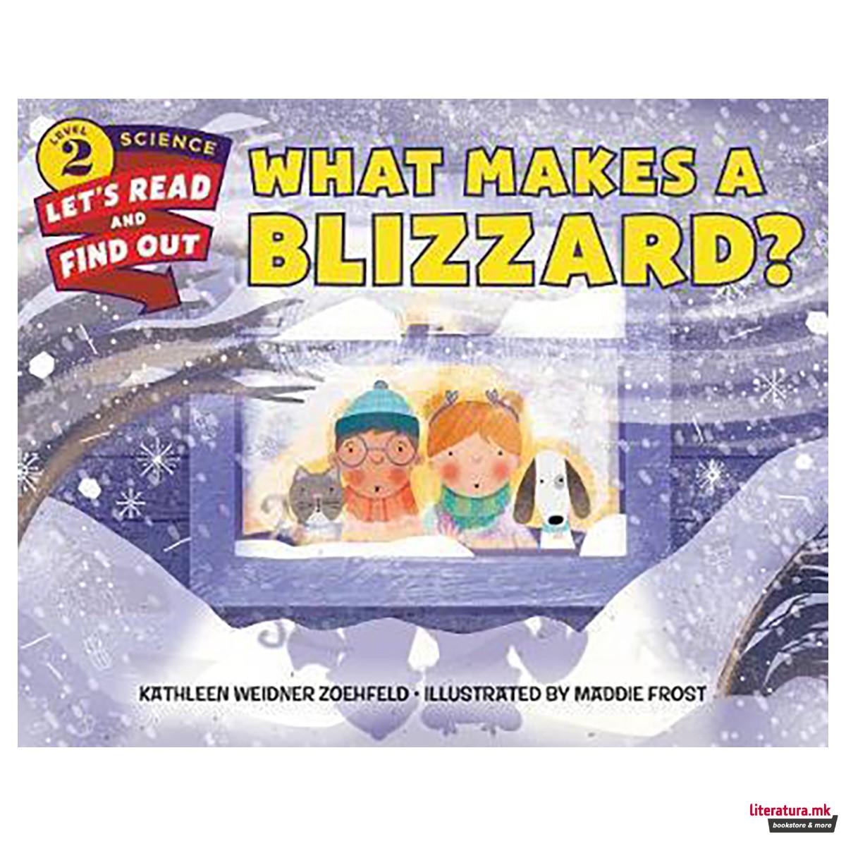 What Makes a Blizzard? 
