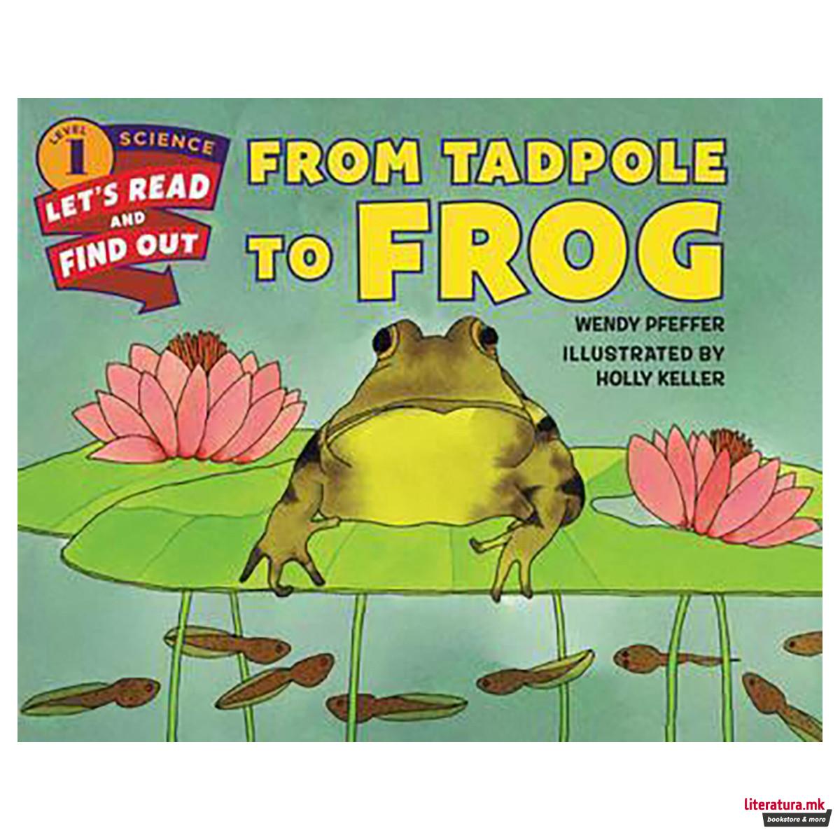 From Tadpole to Frog 