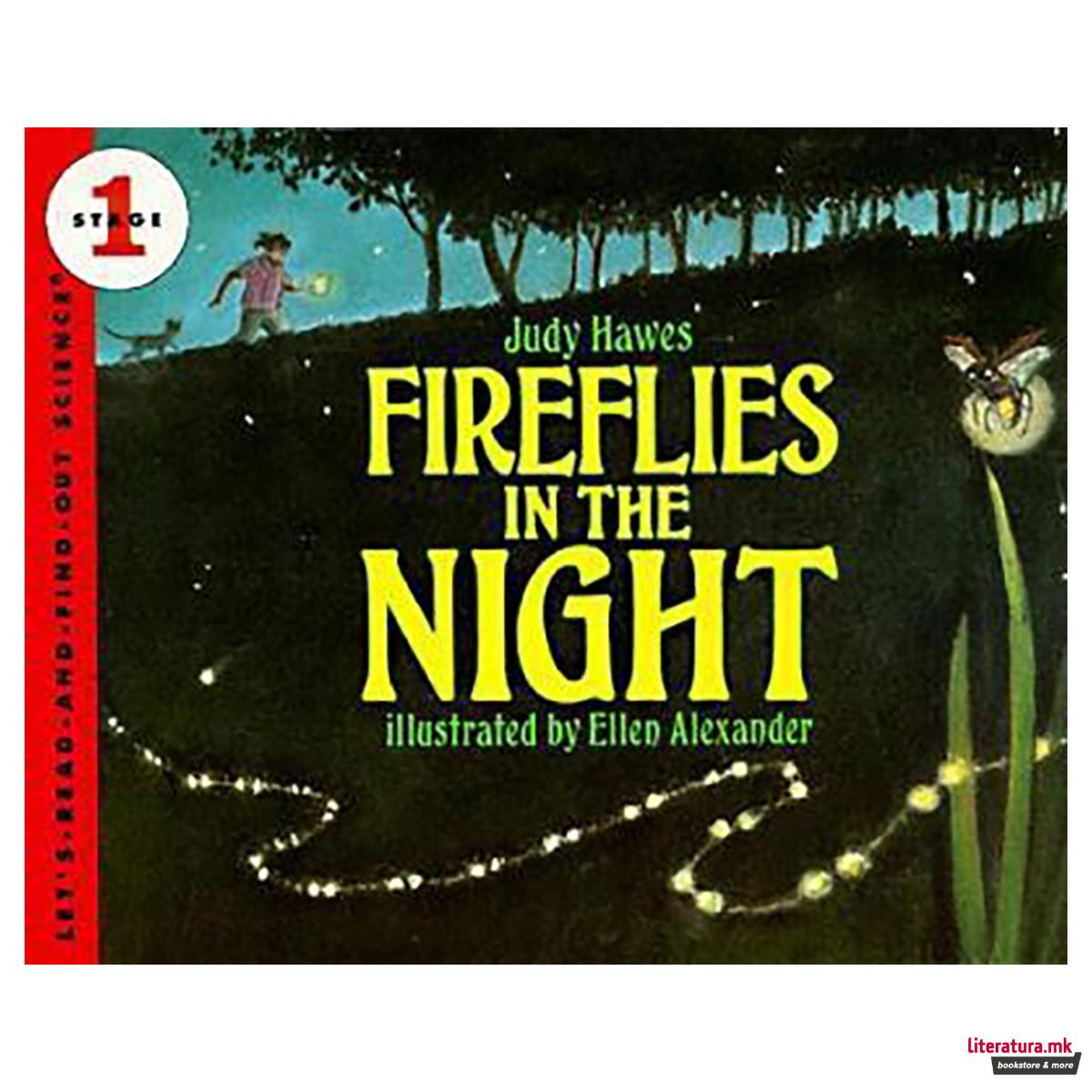Fireflies in the Night 