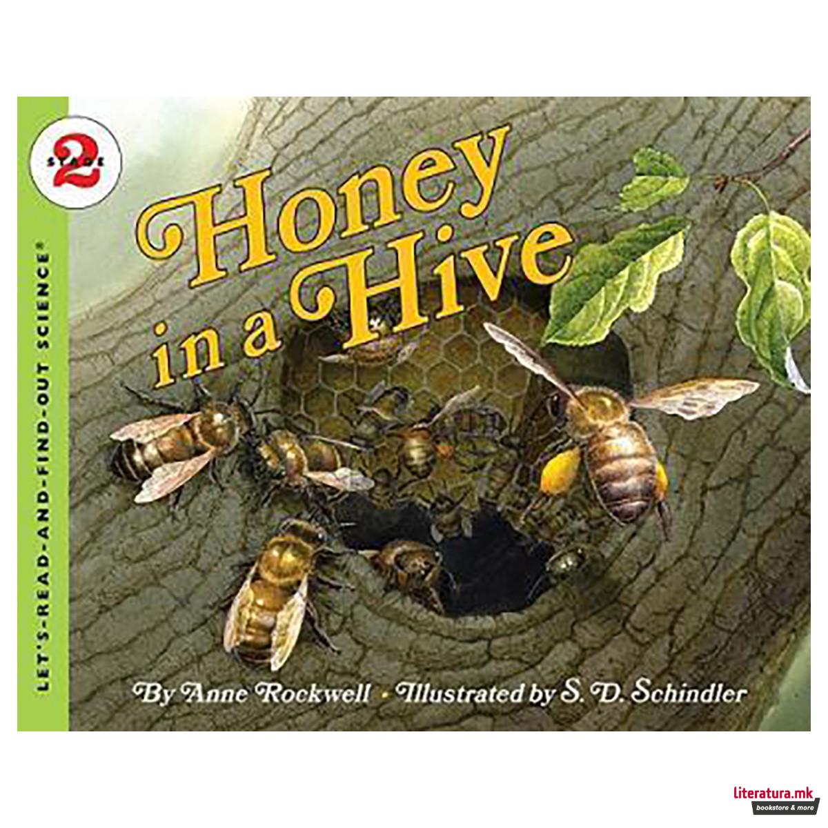 Honey In A Hive 