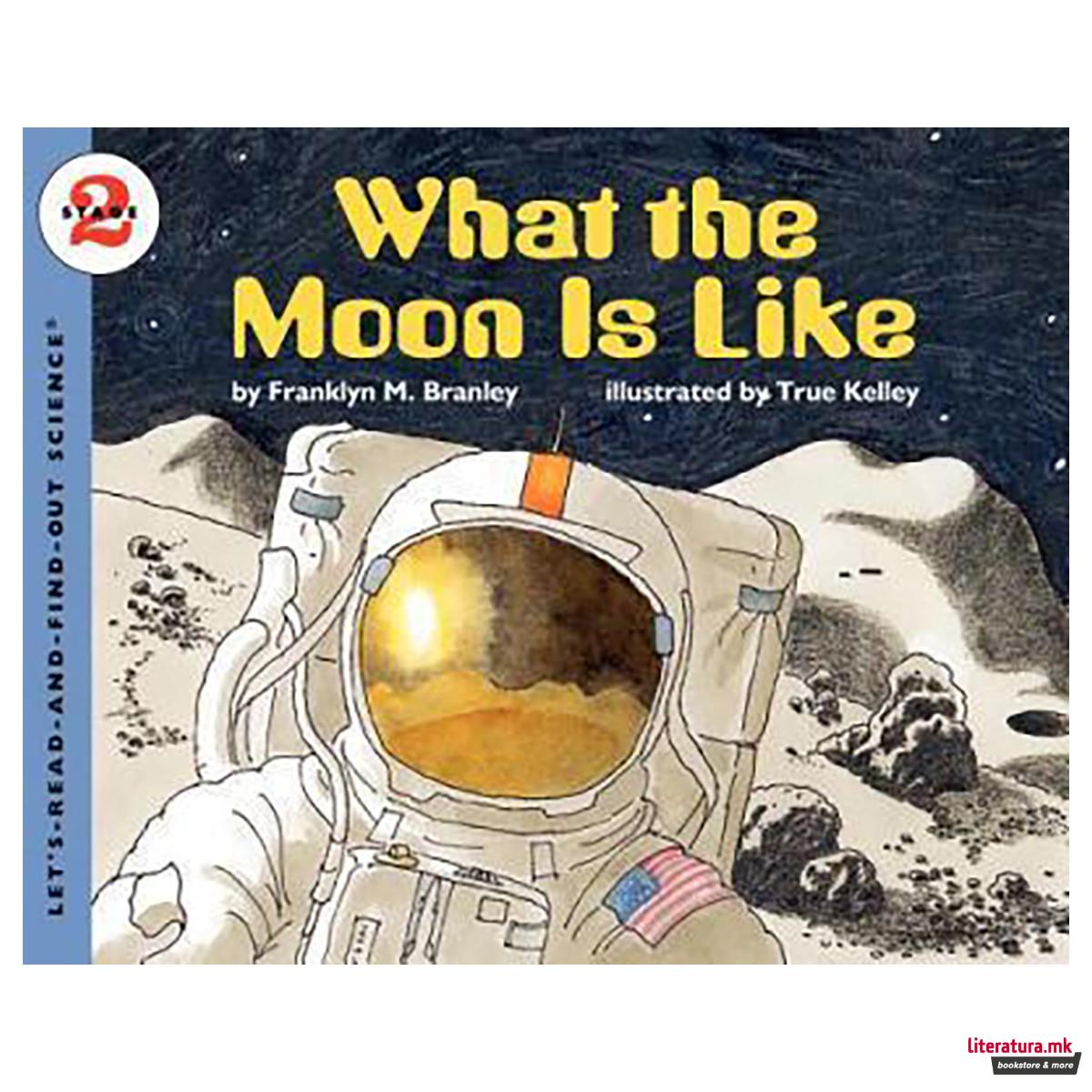 What the Moon is Like