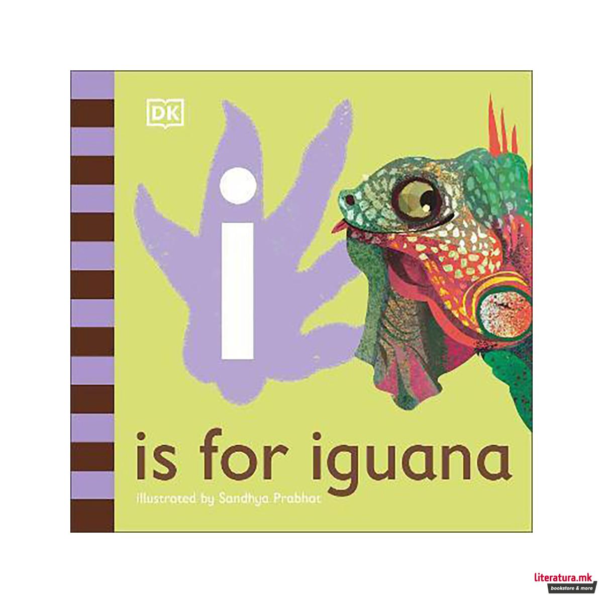 I is for Iguana 