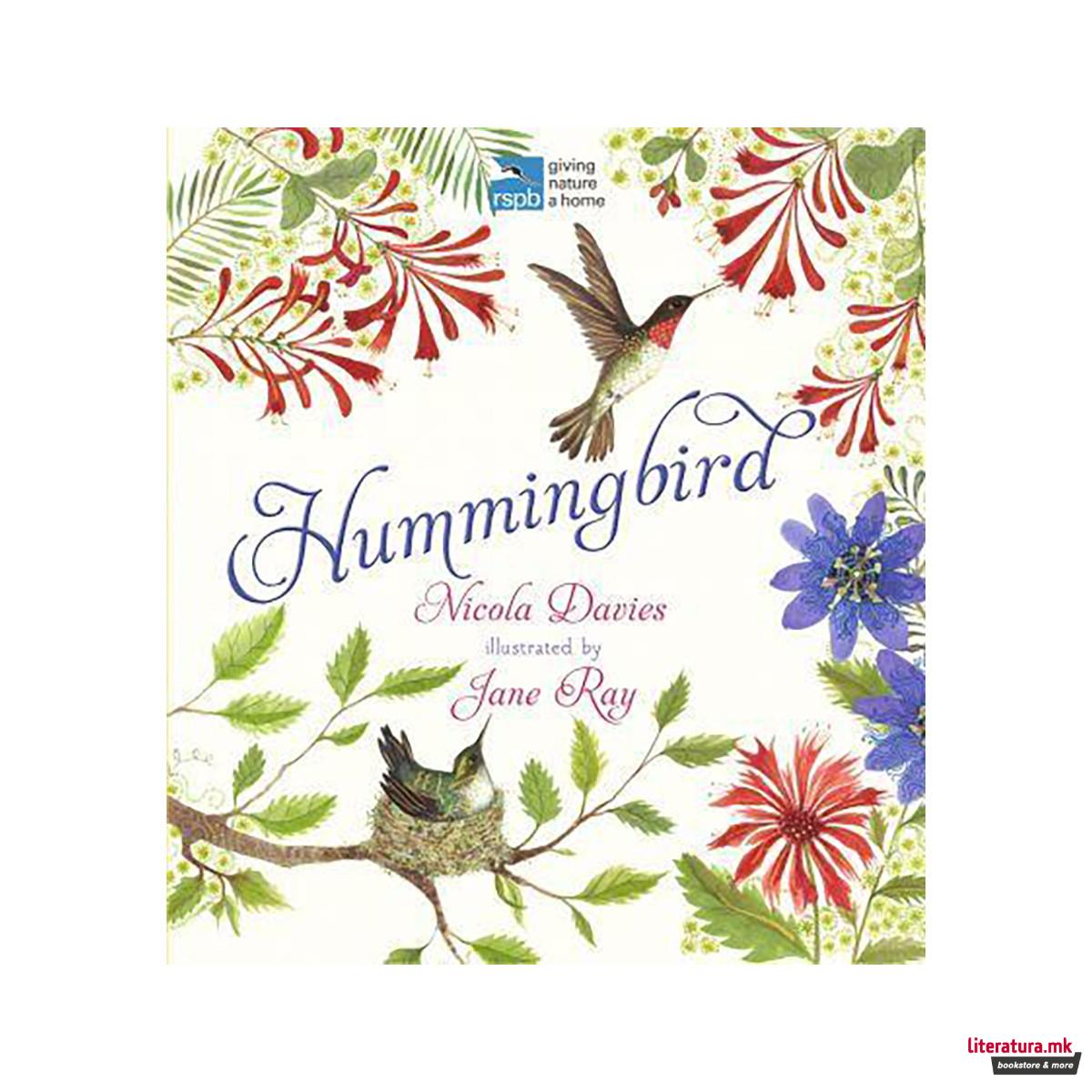 Hummingbird 