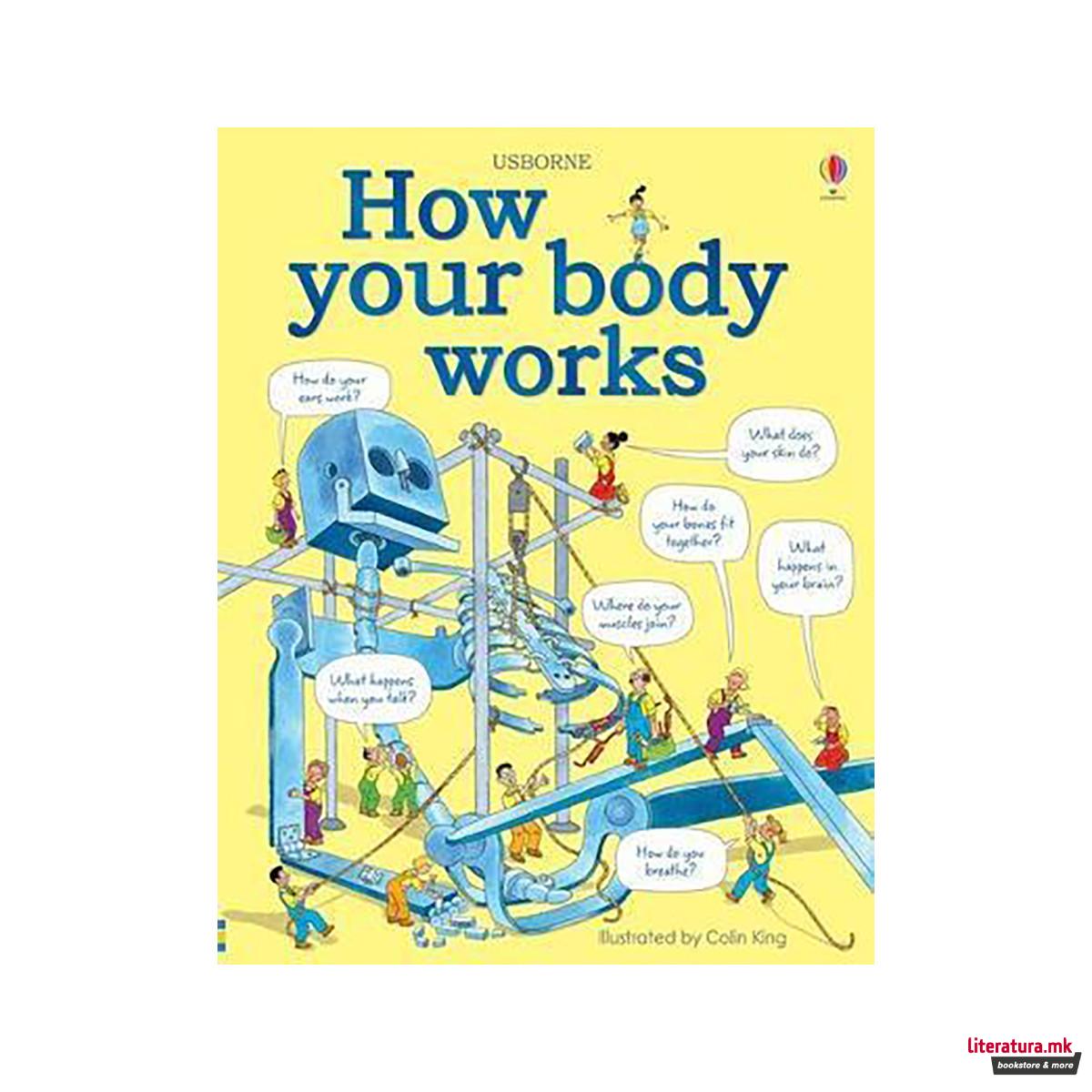 How your body works 