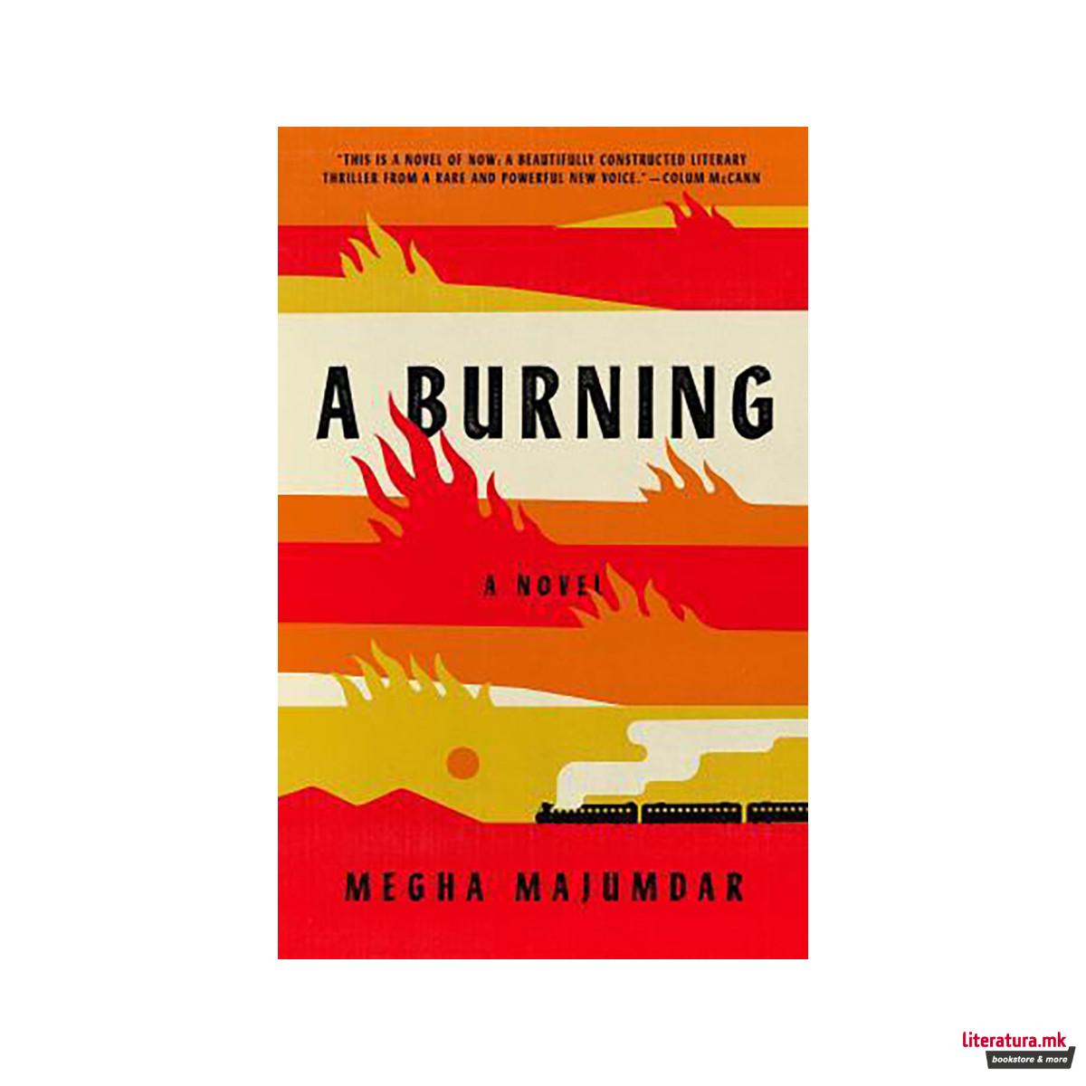 A Burning : A novel 
