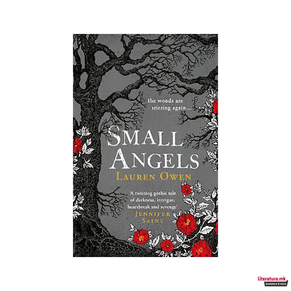Small Angels : 'A twisting gothic tale of darkness, intrigue, heartbreak and rev 