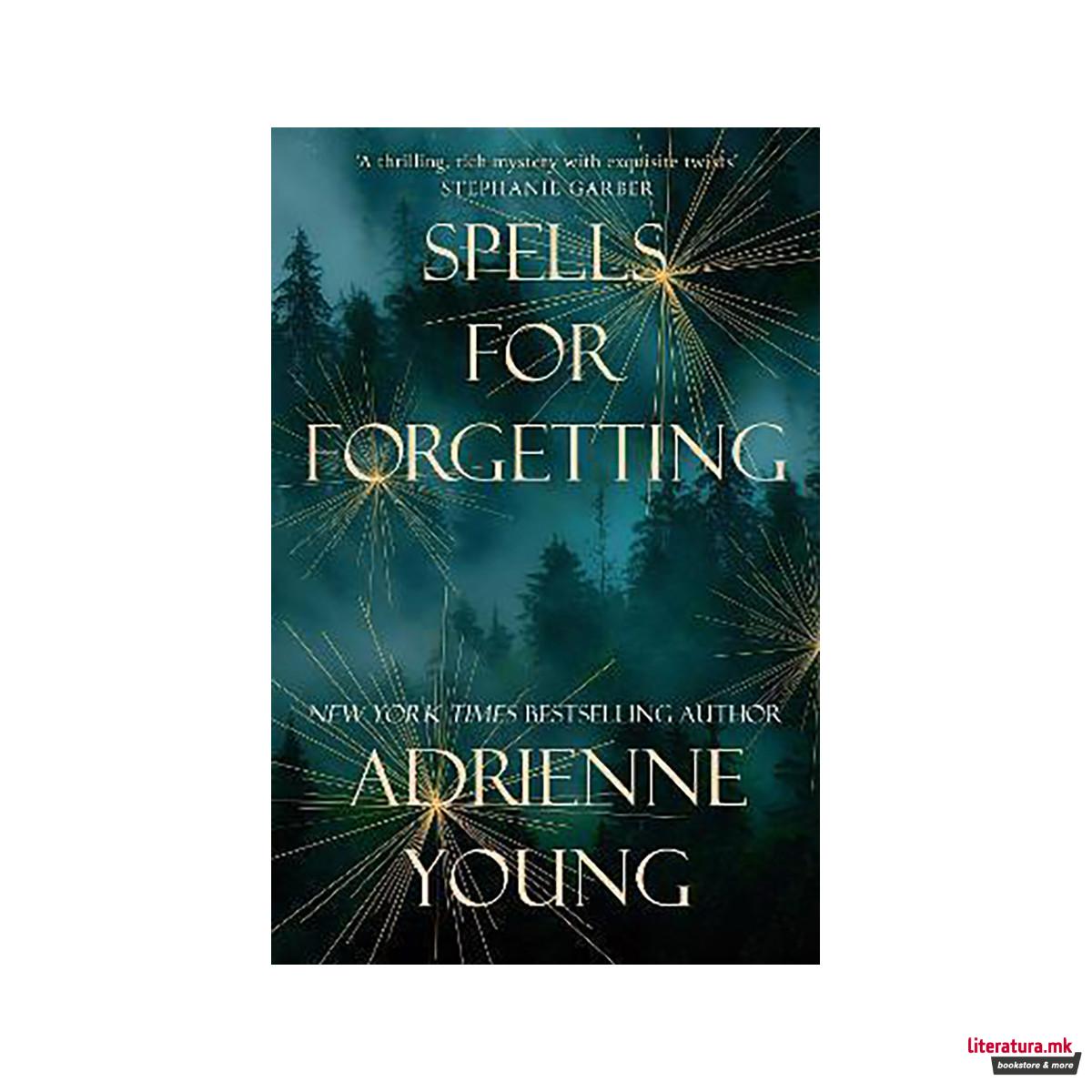 Spells for Forgetting : the magical and compelling mystery perfect for winter ni 