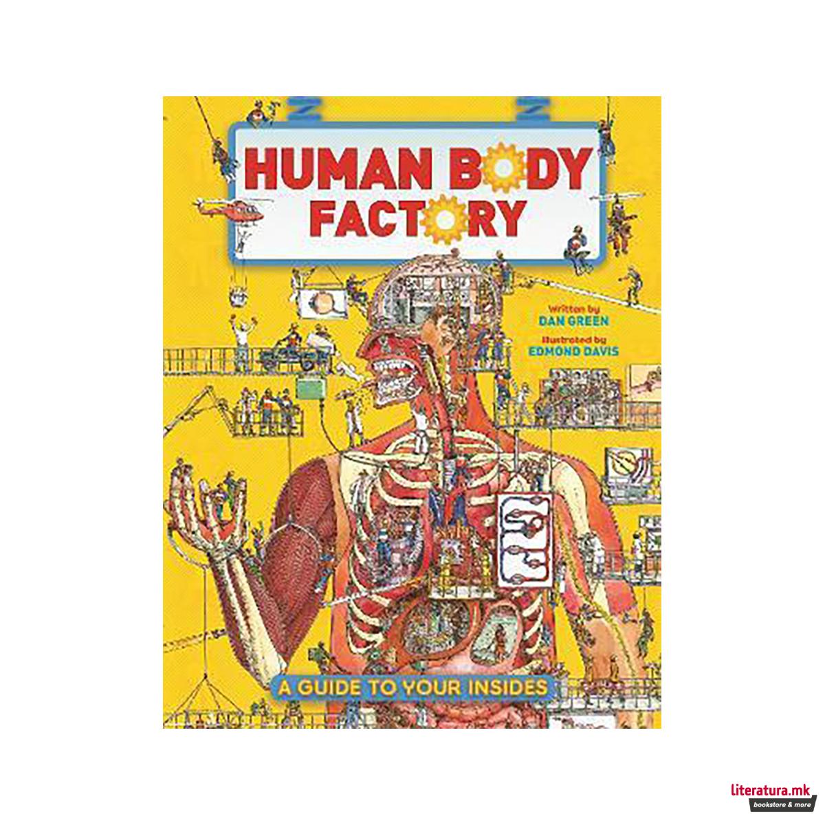 The Human Body Factory : A Guide To Your Insides 