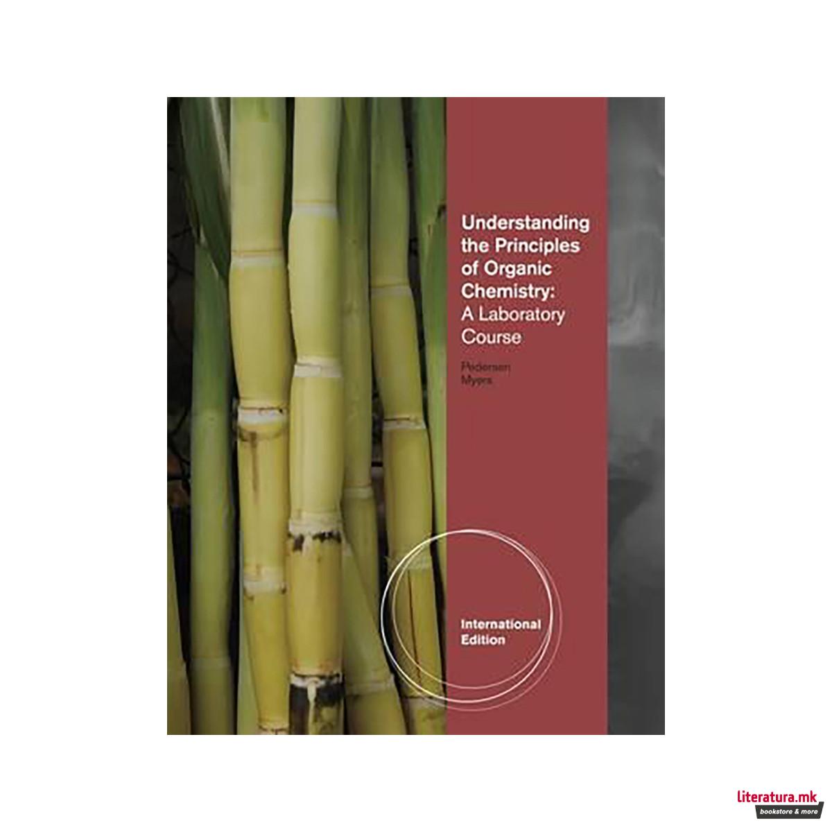 Understanding the Principles of Organic Chemistry 