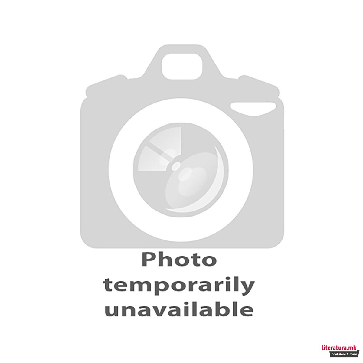 Yeti and Firends! Junior B Flashcards 