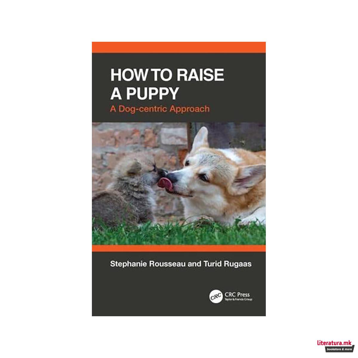 How to Raise a Puppy 