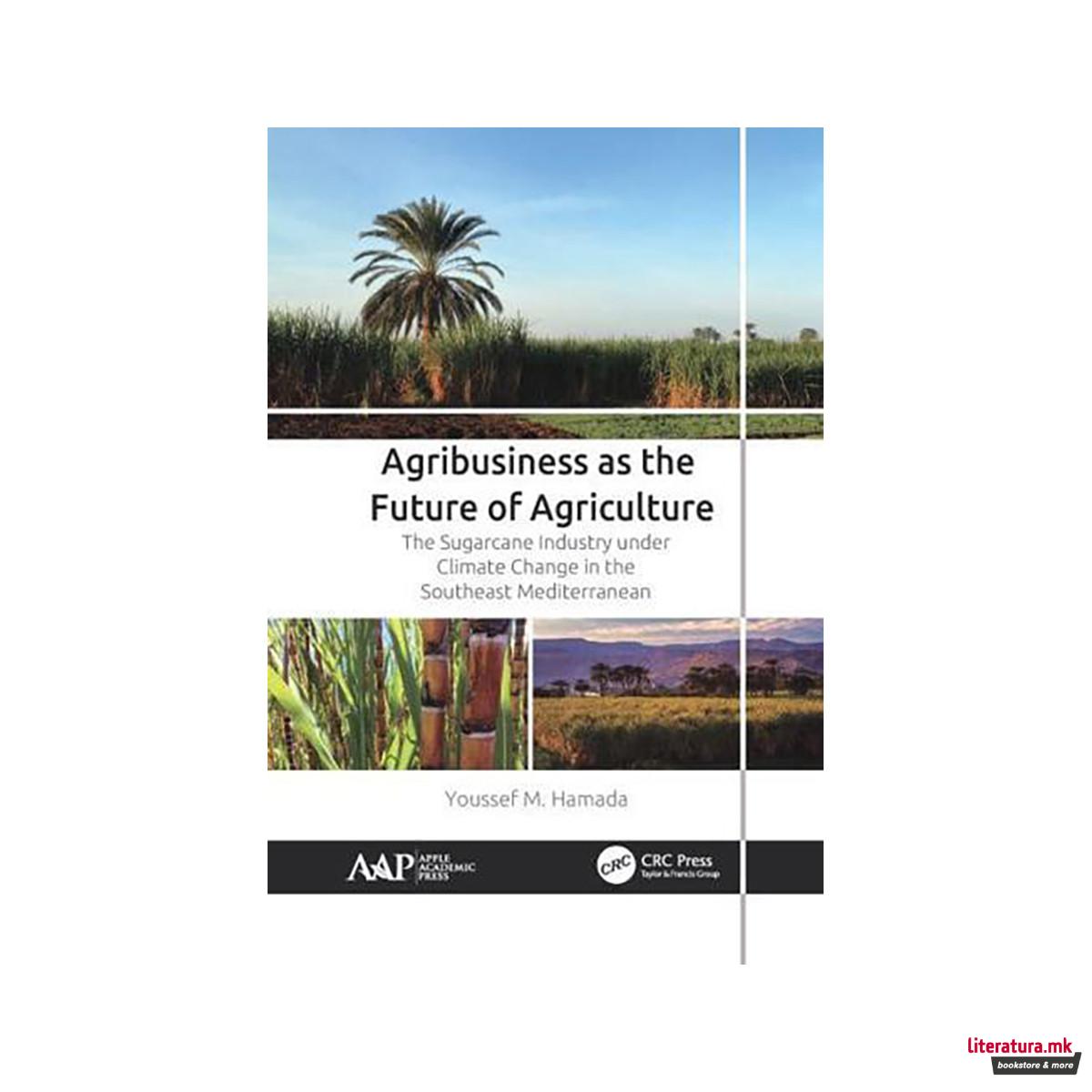 Agribusiness as the Future of Agriculture 