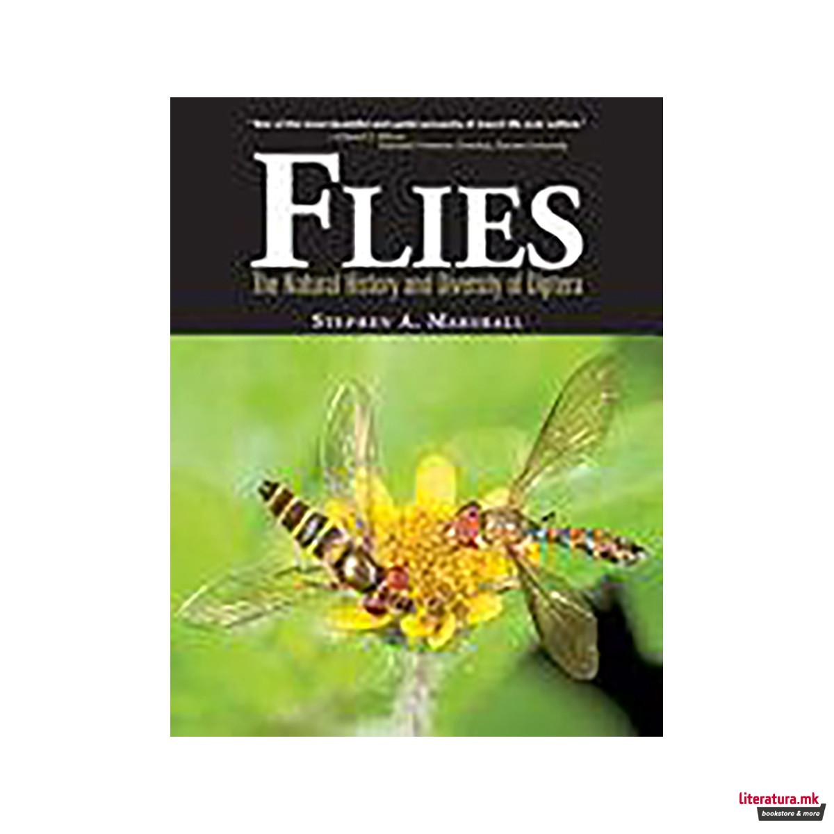 Flies 