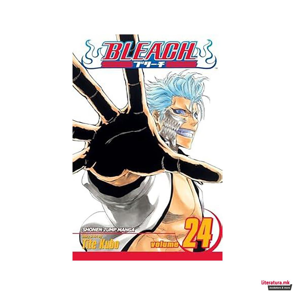 Bleach, Vol. 24 