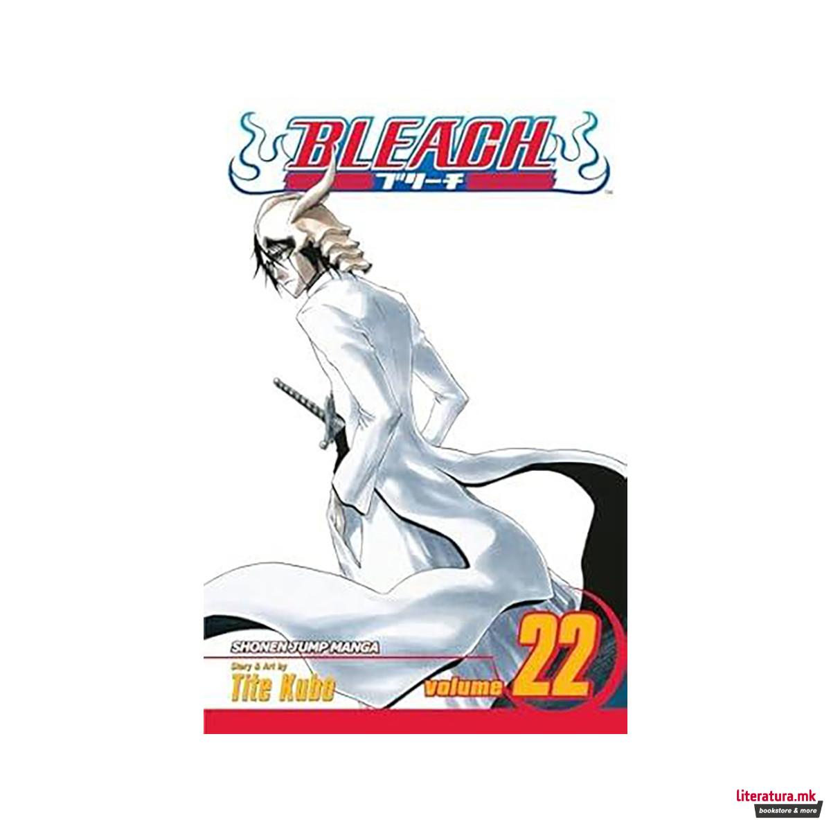 Bleach, Vol. 22