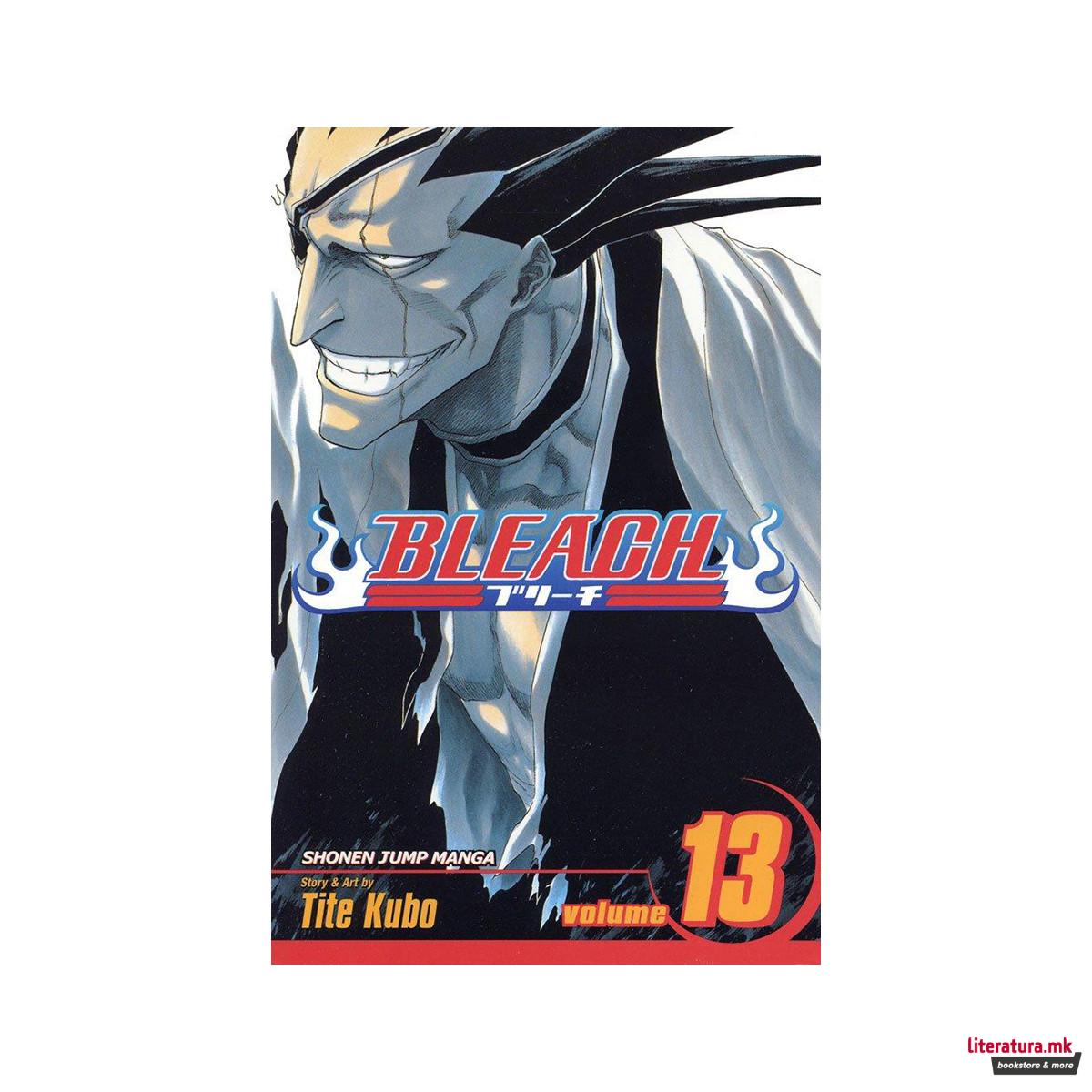 Bleach, Vol. 13