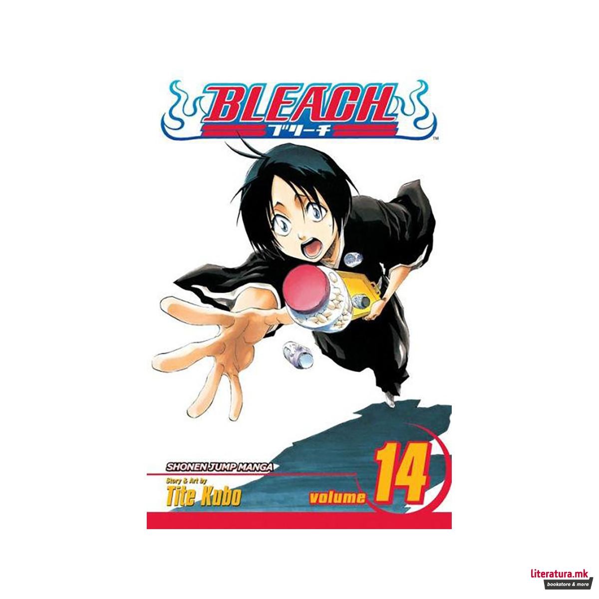 Bleach, Vol. 14
