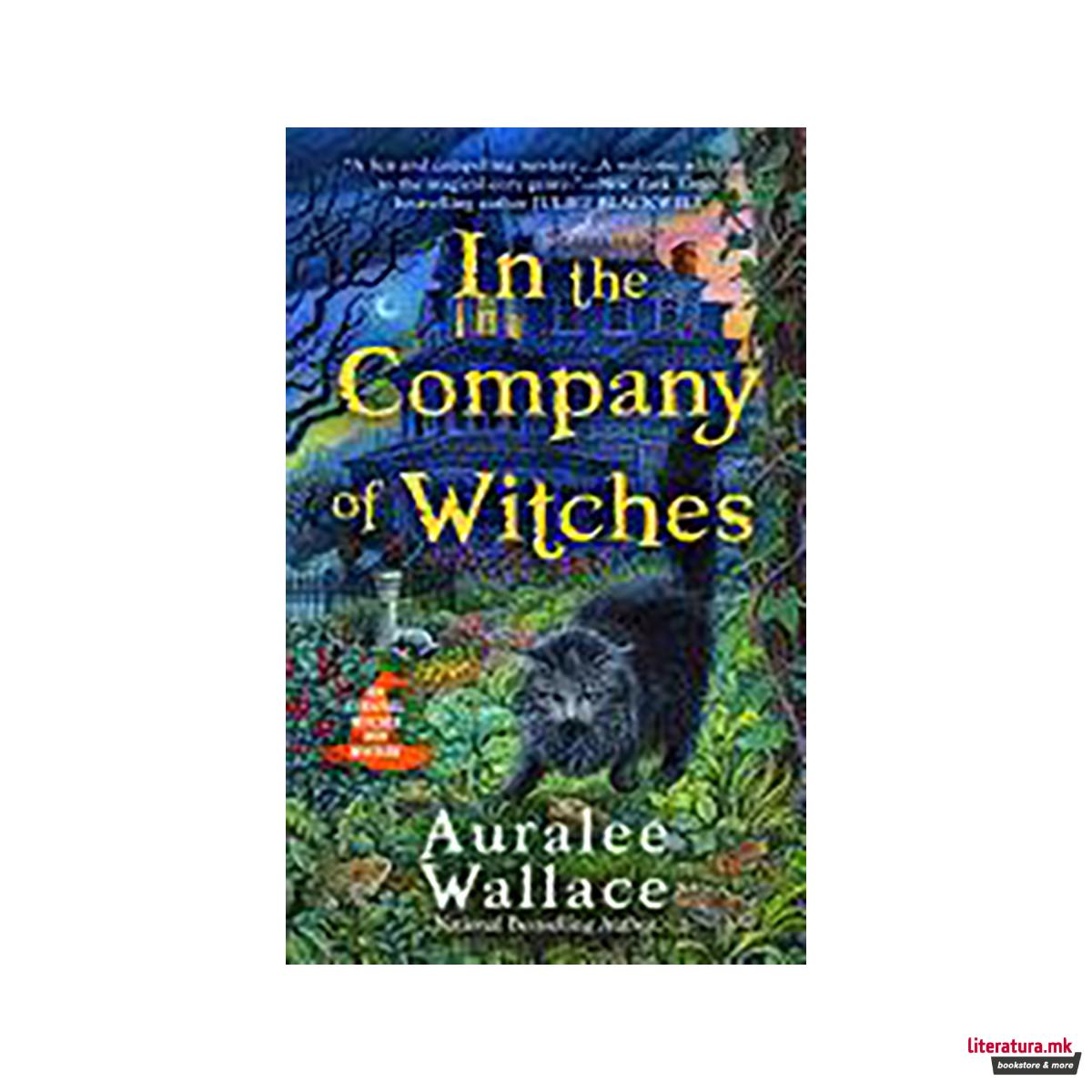 In the Company of Witches 