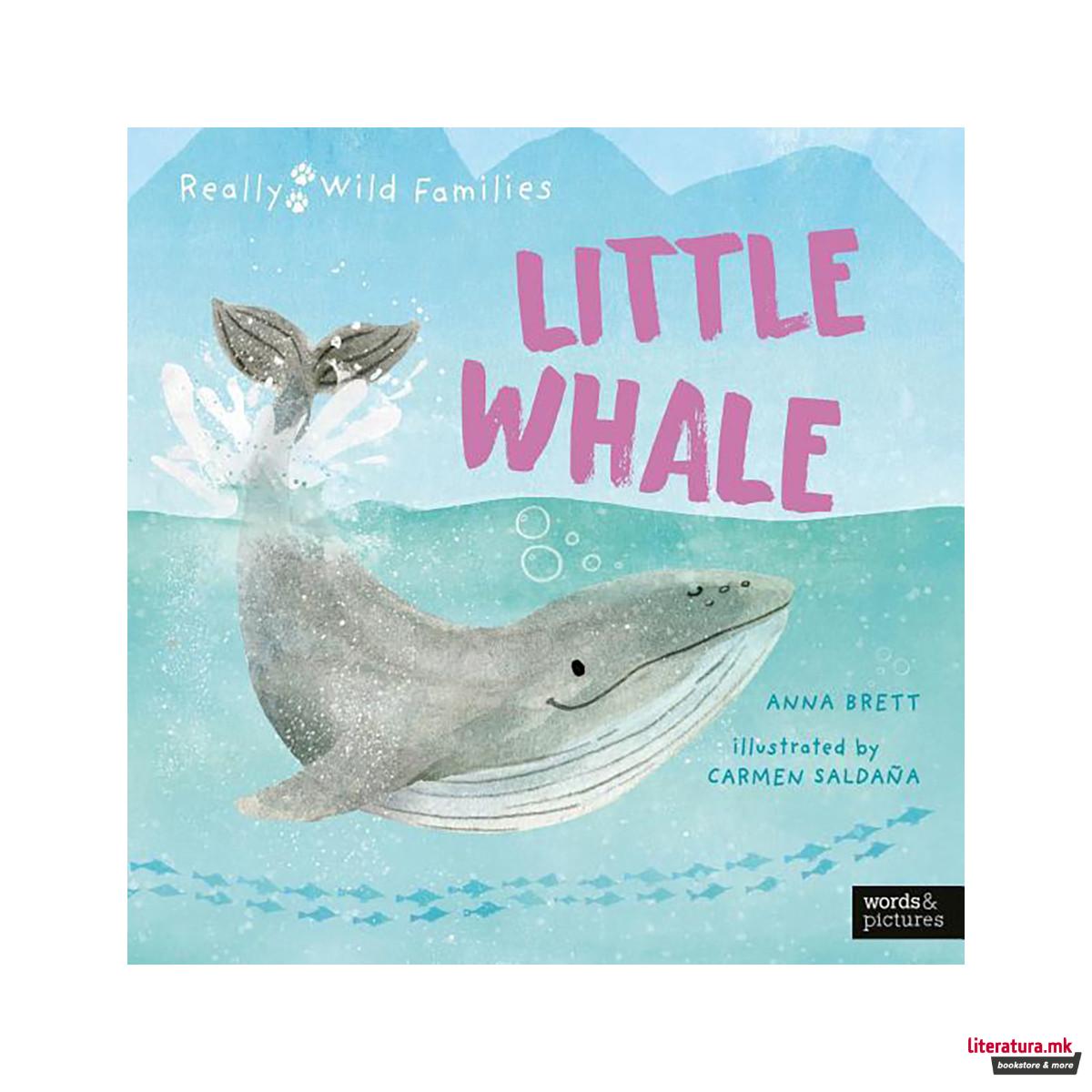 Little Whale 