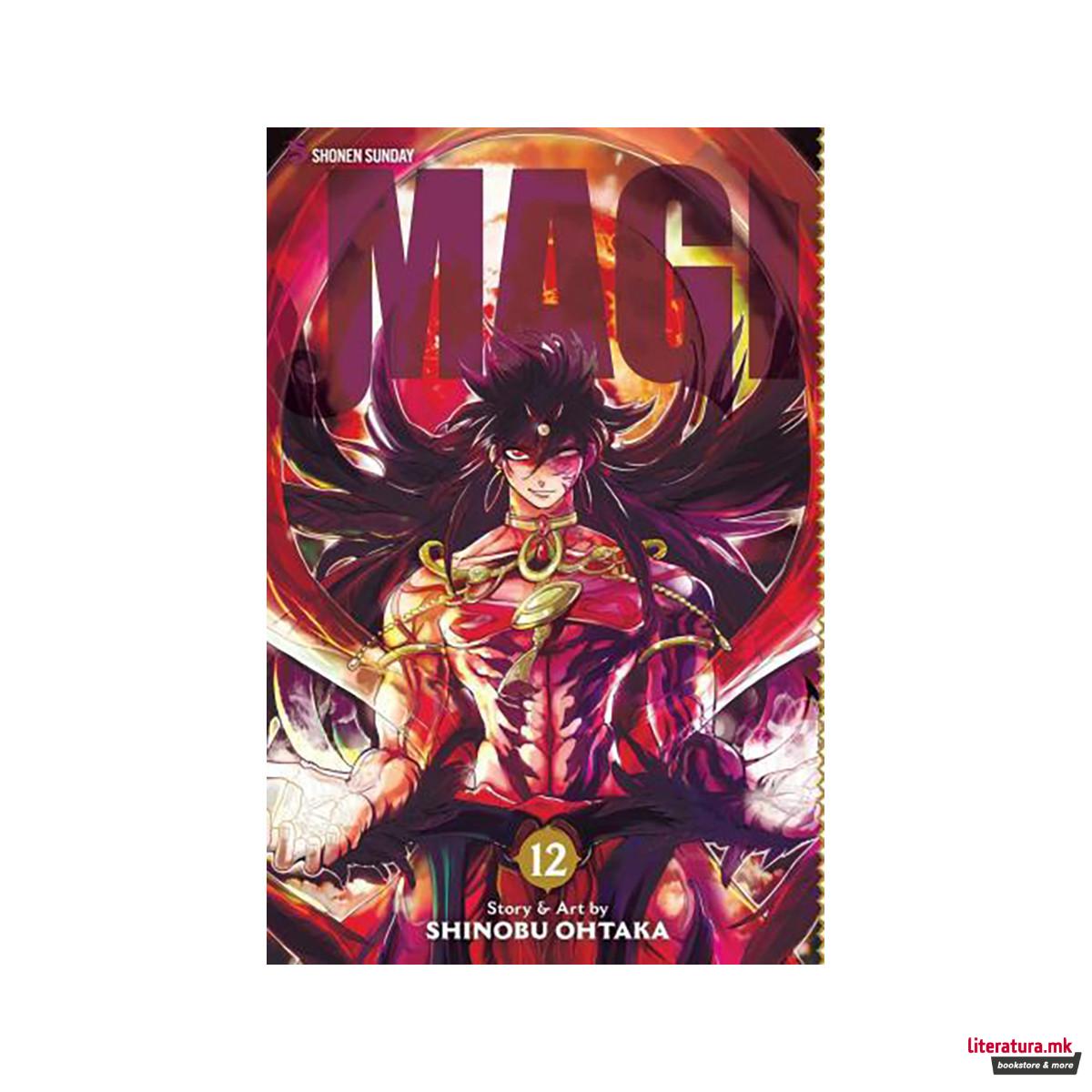 Magi: The Labyrinth of Magic, Vol. 12 : The Labyrinth of Magic 